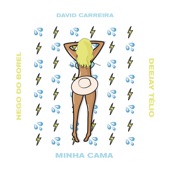 Minha Cama (feat. Nego do Borel & Deejay Telio) artwork