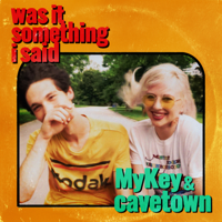 MyKey & Cavetown - Was It Something I Said artwork