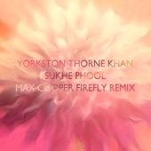 Sukhe Phool (Max Cooper Firefly Remix) artwork