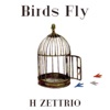 Birds Fly - Single