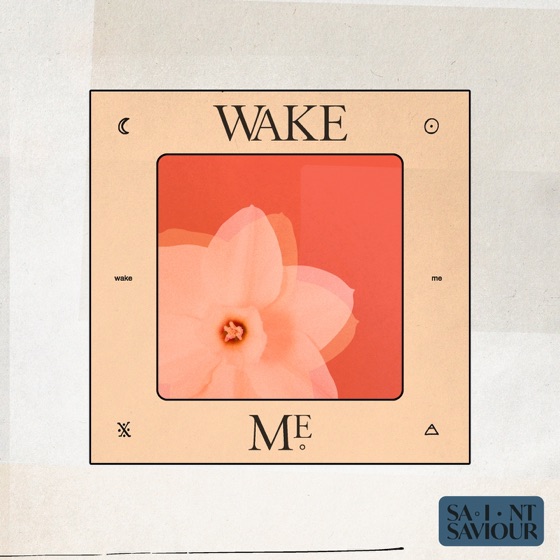 Cover artwork for Wake Me