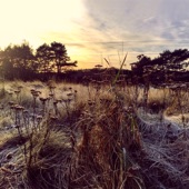 Ane Brun - Right In Time