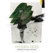Hidden Seas artwork