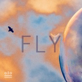 Fly artwork