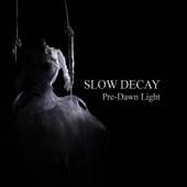 Slow Decay - Falling Into Dust