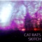 Skitch - CAT RATS lyrics
