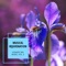 Dripping Blues - Shivansh lyrics