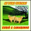 As Duas Ovelhas