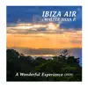 A Wonderful Experience (2020) - Single album lyrics, reviews, download