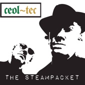 The SteamPacket artwork