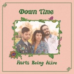 Down Time - Hurts Being Alive