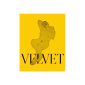 Velvet Negroni - CONFETTI