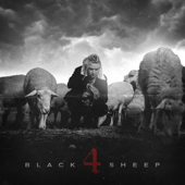 Black Sheep 4 cover
