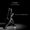 Try to Understand - Single