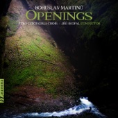 Openings artwork