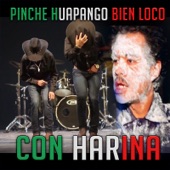 Un Pinche Huapango Bien Loco Con Harina artwork