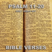Holy Bible Niv Psalm 18 artwork