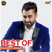 Best of Sharry Maan artwork