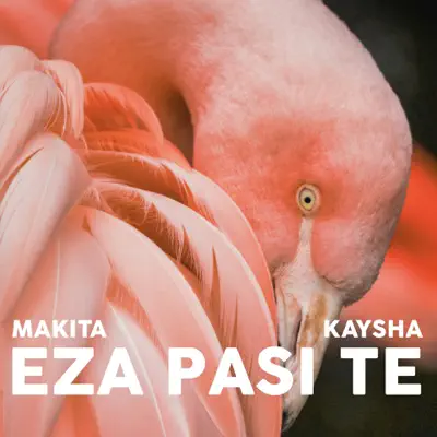 Eza Pasi Te - Single - Kaysha