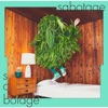 Sabotage - Single