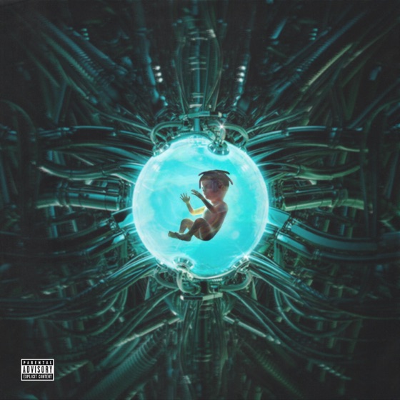Cover artwork for Wasabi