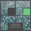 Max Freegrant - Singularity