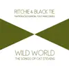 Wild World: The Songs of Cat Stevens (feat. Tuco Marcondes) album lyrics, reviews, download