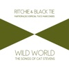 Wild World: The Songs of Cat Stevens (feat. Tuco Marcondes)