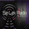 Se - Lek Radio Rotations, Vol. 2, 2017