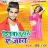 Dil Ba Tohar Ae Jaan - Single album lyrics, reviews, download