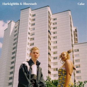 Cake - Single