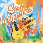 Son Palmera - La Ruñidera (feat. Dagoberto Plana Despaine)