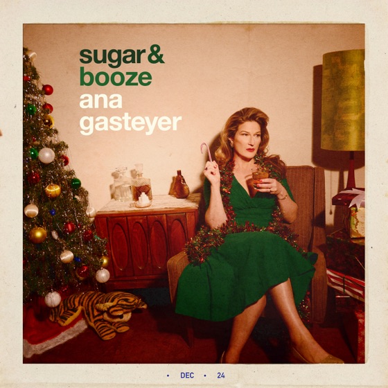 Cover artwork for The Man with the Bag