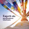 Esprit de méditation tibétain: Matin spirituel, Méditation, Mantra, Yoga, Chakra de guérison, Spa, Bien-être album lyrics, reviews, download