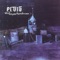 Field II Cows - Pluto lyrics