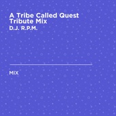 Buddy (Remix) [feat. Jungle Brothers , Monie Love, Queen Latifah, & Q Tip] [Mixed] artwork