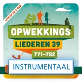 Een Doel (771) [Instrumentaal] artwork