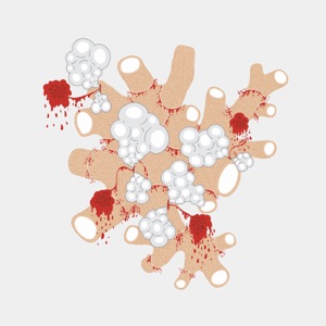 The Exquisite Death of Saxon Shore