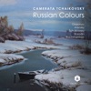 Camerata Tchaikovsky - Variations on a Theme by Tchaikovsky, Op. 35a