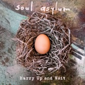Soul Aslyum - The Beginning