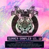 Summer Sampler, Vol. 10
