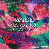 Paranoic Rave LP artwork
