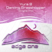 Dancing Grasshopper (Radio Edit) artwork