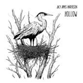 Jacy James Anderson - Hollow
