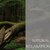 Natural Relaxation artwork