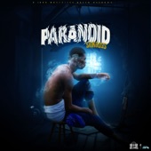 Paranoid artwork