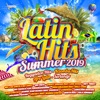 Latin Hits - Summer 2019, 2019