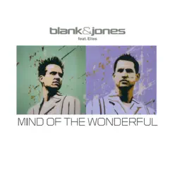 Mind of the Wonderful (All Mixes) - Blank & Jones