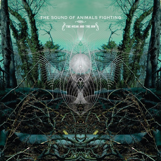 Cover artwork for Cellophane