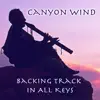 Canyon Wind - Native American Flute Backing Track In 6 Keys album lyrics, reviews, download